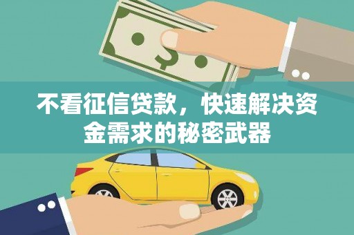 大方不看征信贷款，快速解决资金需求的秘密武器