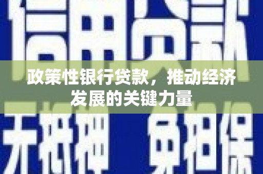 大方政策性银行贷款，推动经济发展的关键力量