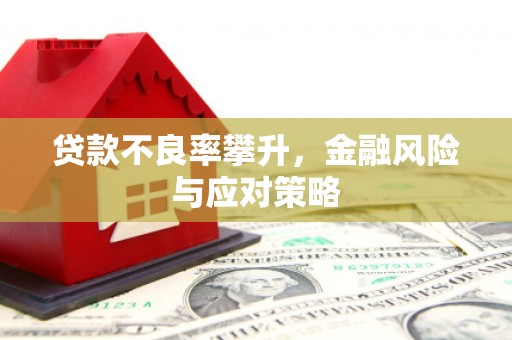 大方贷款不良率攀升，金融风险与应对策略