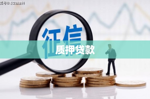 大方质押贷款