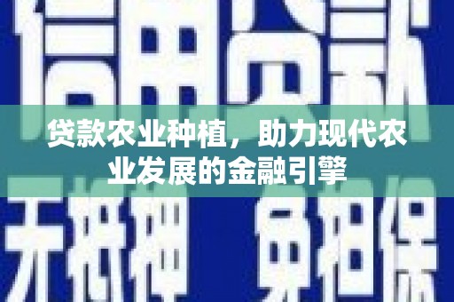 大方贷款农业种植，助力现代农业发展的金融引擎