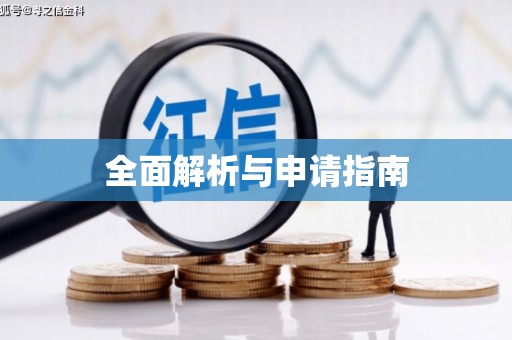 大方全面解析与申请指南