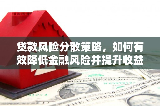 大方贷款风险分散策略，如何有效降低金融风险并提升收益