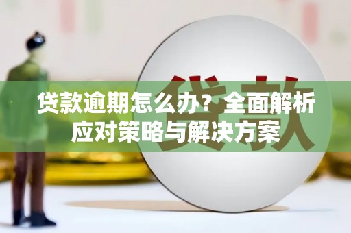 大方贷款逾期怎么办？全面解析应对策略与解决方案