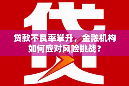 大方贷款不良率攀升，金融机构如何应对风险挑战？