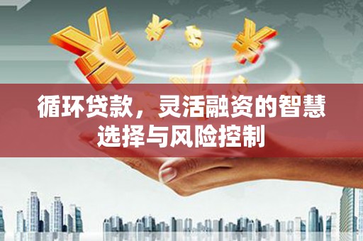 大方循环贷款，灵活融资的智慧选择与风险控制