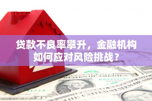 大方贷款不良率攀升，金融机构如何应对风险挑战？