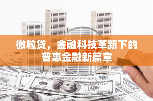 大方微粒贷，金融科技革新下的普惠金融新篇章