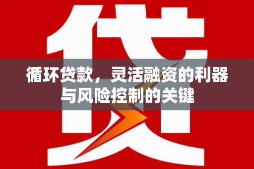 大方循环贷款，灵活融资的利器与风险控制的关键