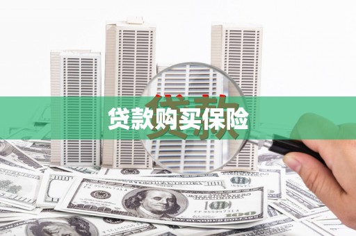 大方贷款购买保险