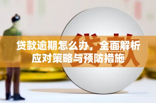 大方贷款逾期怎么办，全面解析应对策略与预防措施