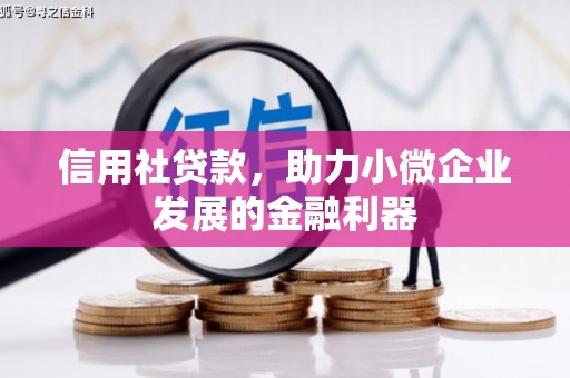 大方信用社贷款，助力小微企业发展的金融利器