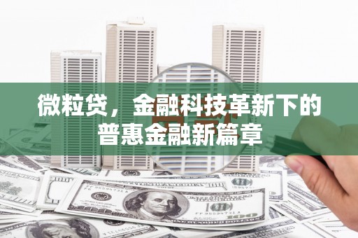大方微粒贷，金融科技革新下的普惠金融新篇章