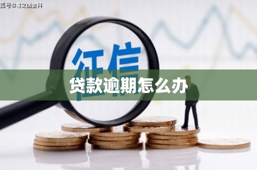 大方贷款逾期怎么办