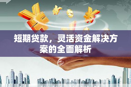 大方短期贷款，灵活资金解决方案的全面解析