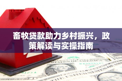 大方畜牧贷款助力乡村振兴，政策解读与实操指南