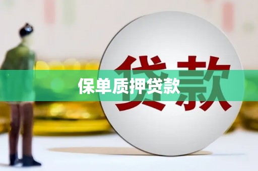 大方保单质押贷款