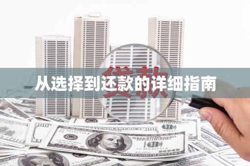 大方从选择到还款的详细指南