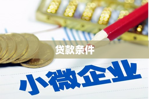 大方贷款条件