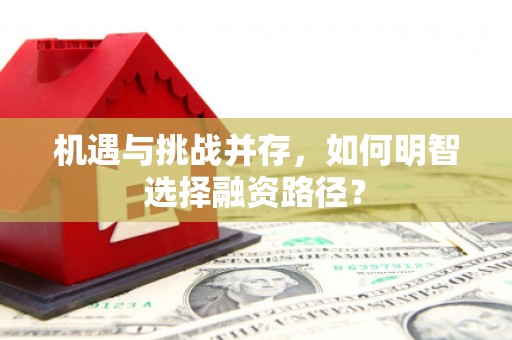 大方机遇与挑战并存，如何明智选择融资路径？